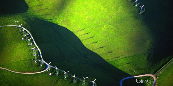 oasis image