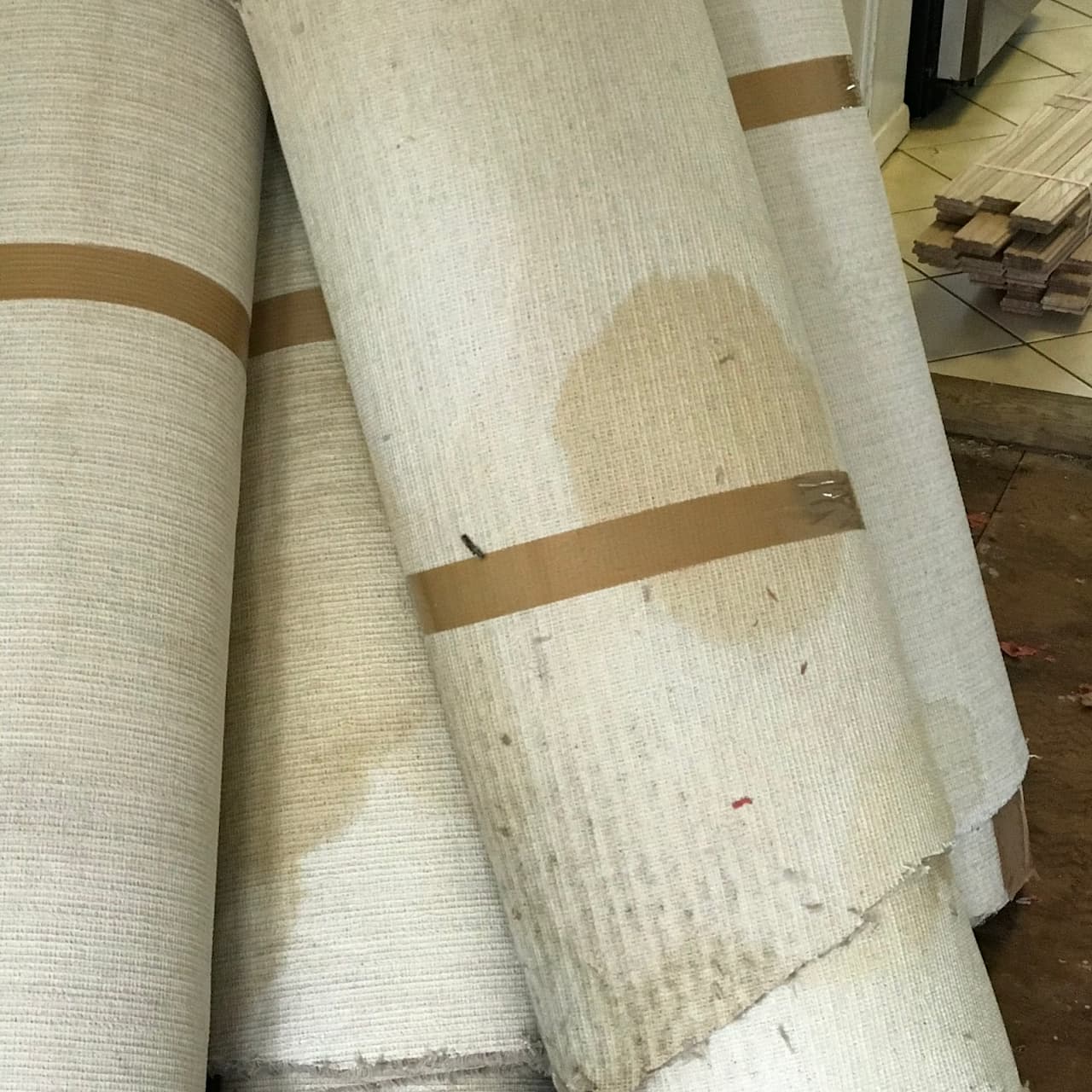 urine stained carpet