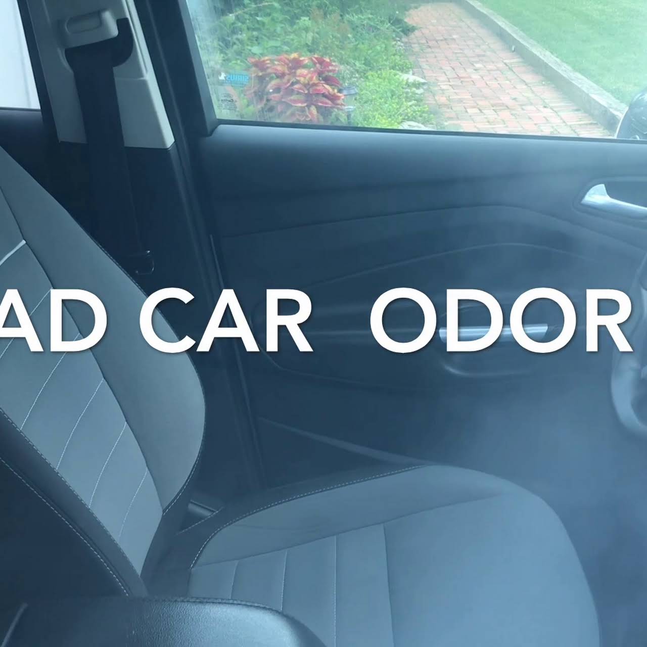 car odor