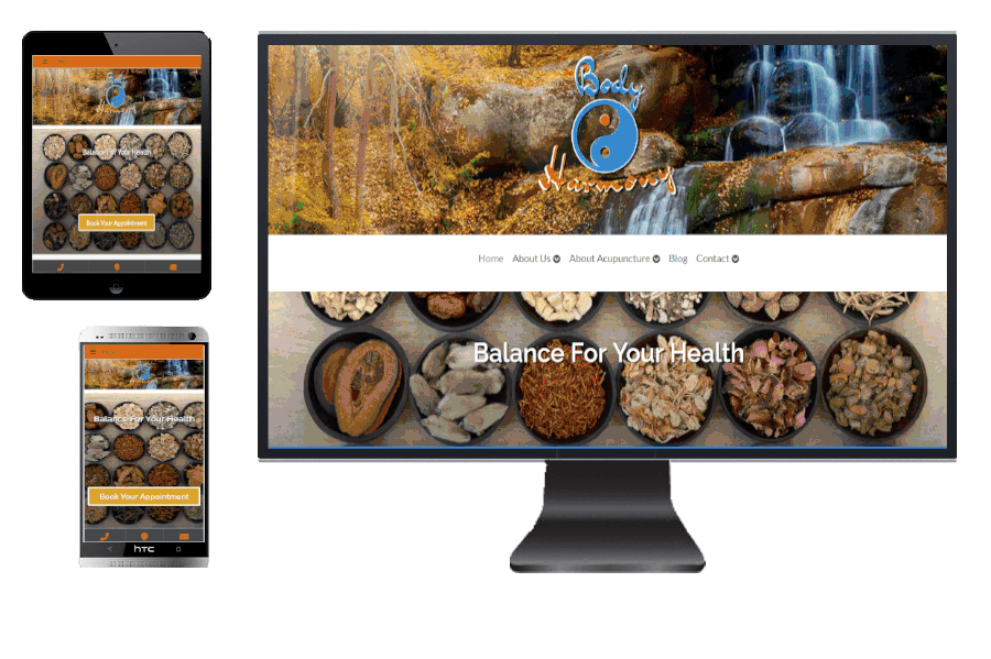 Body Harmony website