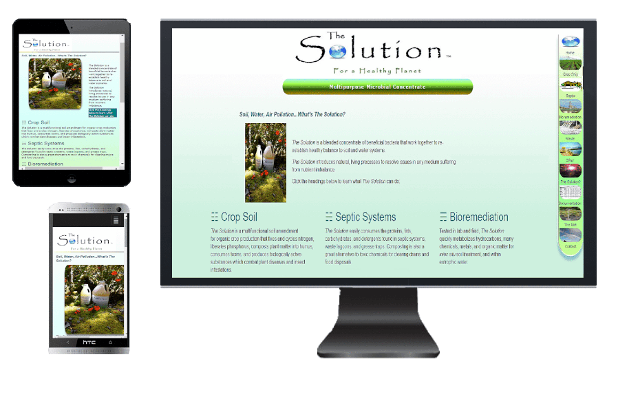 The Solution website