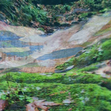 Dream Creek
