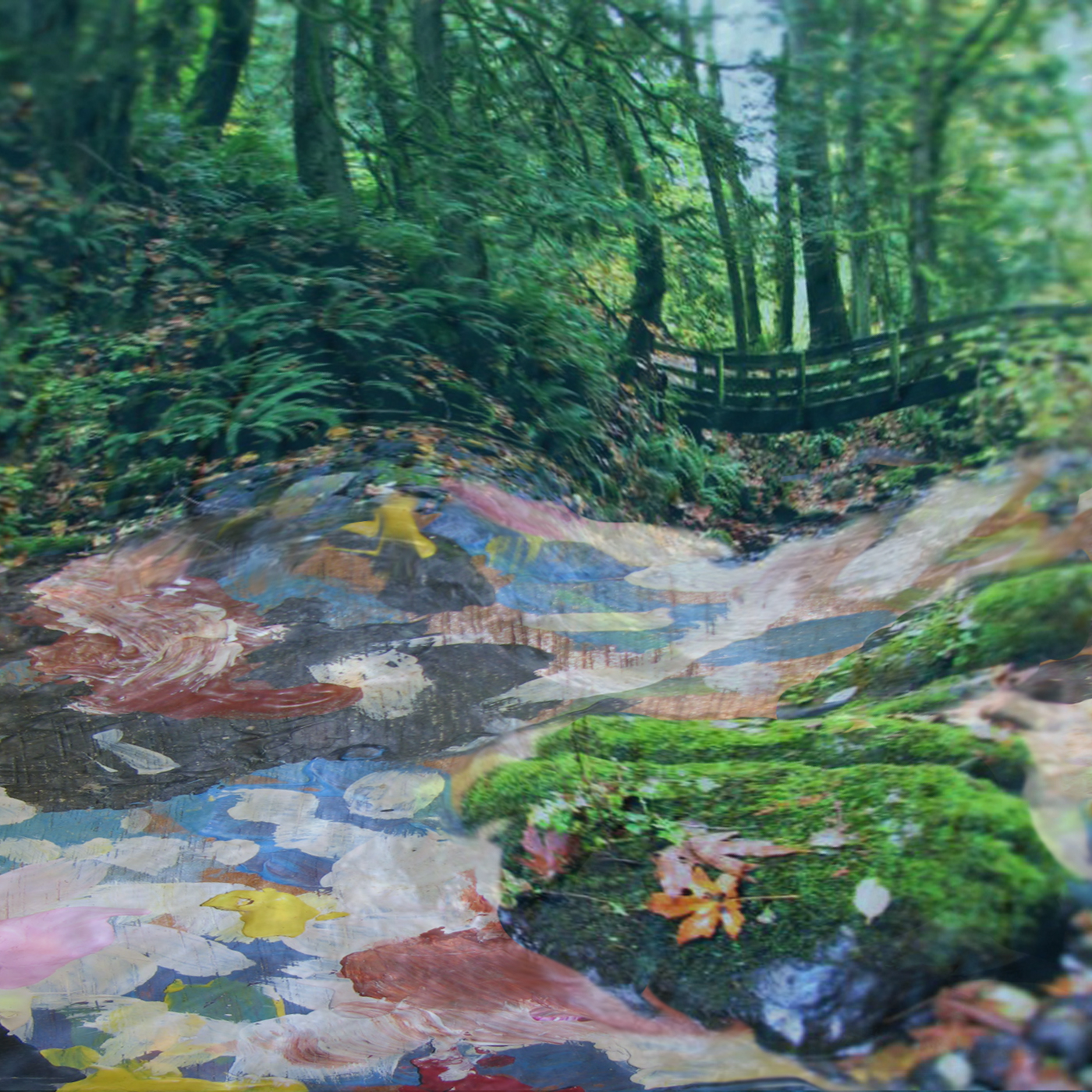 dream creek